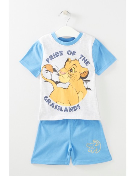 Ensemble le roi lion