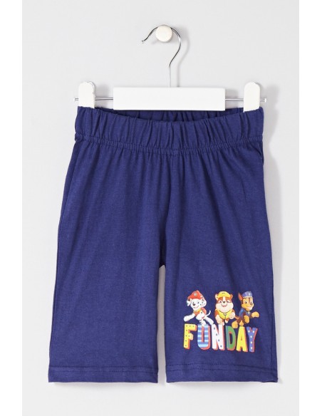 Ensemble paw patrol