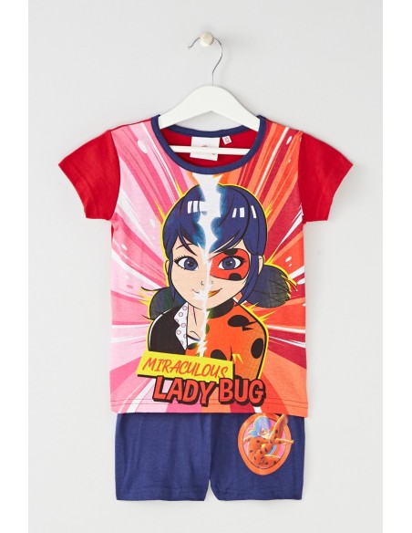 Ensemble ladybug