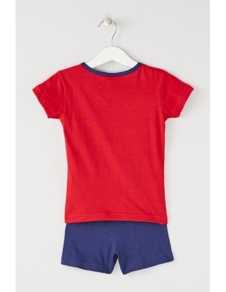 Ensemble ladybug