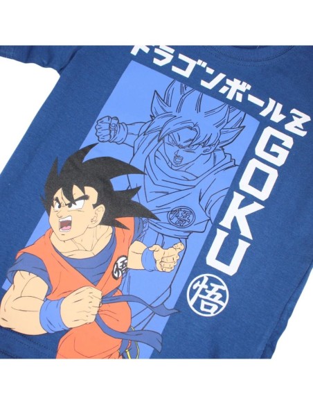 Ensemble Dragon Ball Z