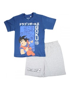 Ensemble Dragon Ball Z