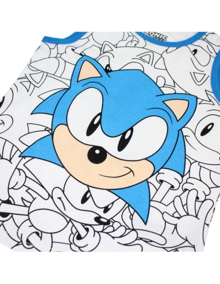 Ensemble Sonic