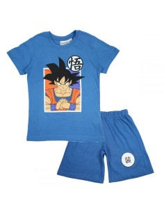 Ensemble Dragon Ball Z