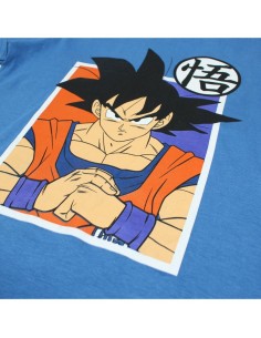 Ensemble Dragon Ball Z 2