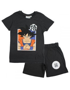 Ensemble Dragon Ball Z