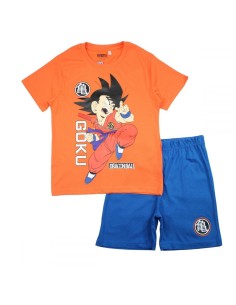 Ensemble Dragon Ball Z