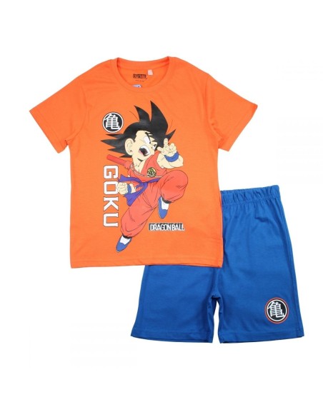Ensemble Dragon Ball Z