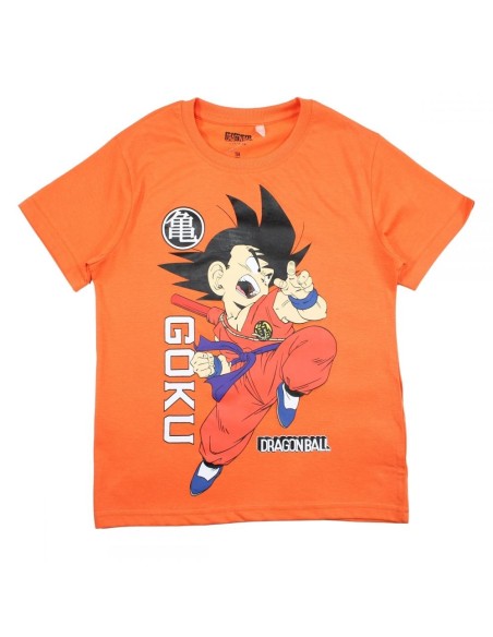 Ensemble Dragon Ball Z