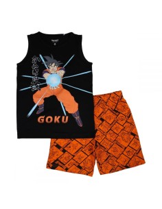 Ensemble Dragon Ball